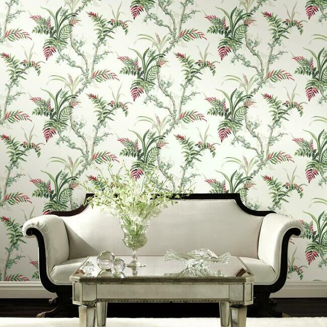 Enchanted Fern Wallpaper Wallpaper York   