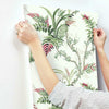 Enchanted Fern Wallpaper Wallpaper York   