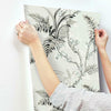 Enchanted Fern Wallpaper Wallpaper York   