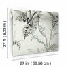 Enchanted Fern Wallpaper Wallpaper York   