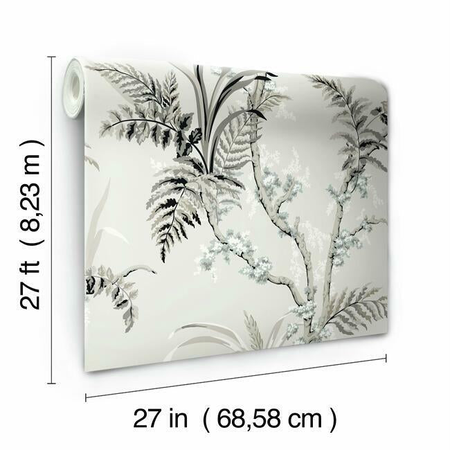Enchanted Fern Wallpaper Wallpaper York   