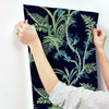 Enchanted Fern Wallpaper Wallpaper York   