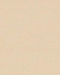Maguey Buff Sisal Wallpaper Wallpaper York Yard Buff 