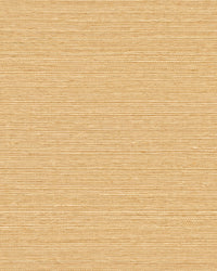 Maguey Sand Sisal Wallpaper Wallpaper York Yard Sand 