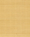 Maguey Gold and Beige Sisal Wallpaper Wallpaper York Yard Gold and Beige 