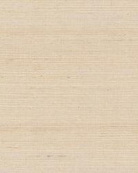 Maguey Beige Sisal Wallpaper Wallpaper York Yard Beige 