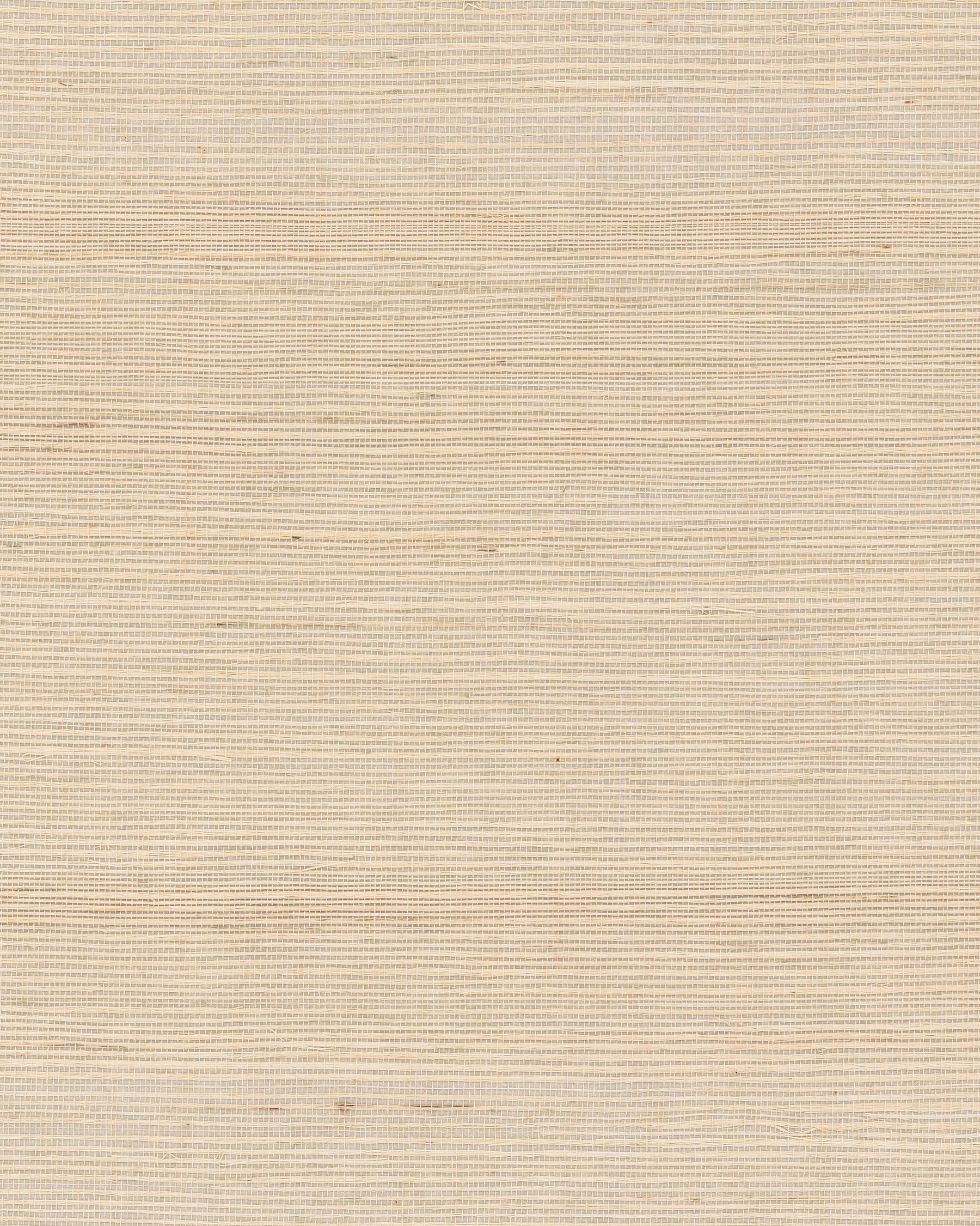 Maguey Beige Sisal Wallpaper Wallpaper York Yard Beige 