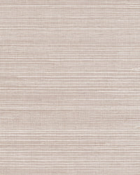 Maguey Pebble Sisal Wallpaper Wallpaper York Yard Pebble 
