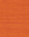 Maguey Clementine Sisal Wallpaper Wallpaper York Yard Clementine 