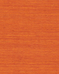Maguey Clementine Sisal Wallpaper Wallpaper York Yard Clementine 