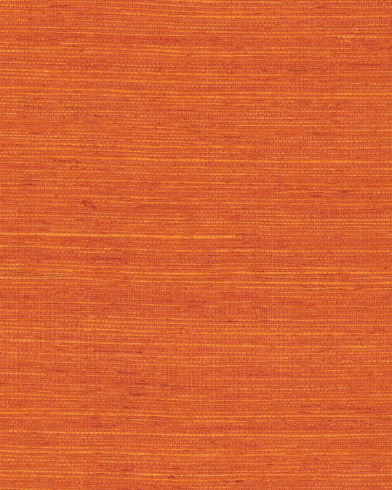 Maguey Clementine Sisal Wallpaper Wallpaper York Yard Clementine 
