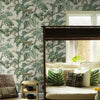 Jungle Cat Wallpaper Wallpaper Ronald Redding Designs   
