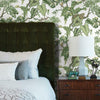 Jungle Cat Wallpaper Wallpaper Ronald Redding Designs   