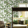 Jungle Cat Wallpaper Wallpaper Ronald Redding Designs   