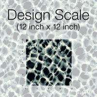 Leopard Rosettes Wallpaper Wallpaper Ronald Redding Designs   