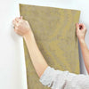 Charleston Damask Wallpaper Wallpaper Ronald Redding Designs   