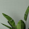Loma Textile Wallcovering Textile Wallcovering QuietWall   