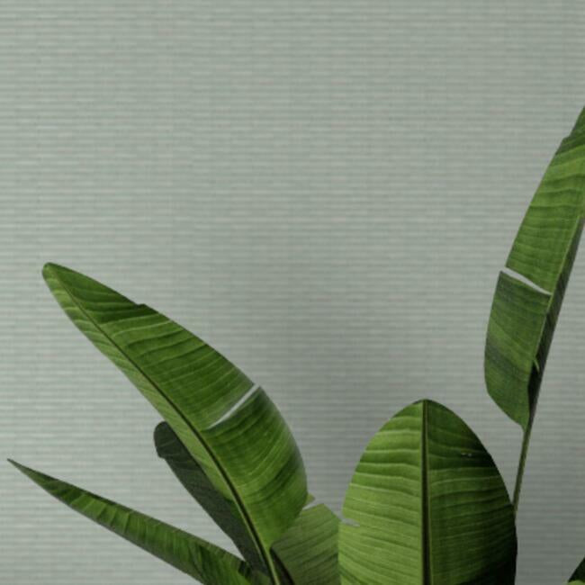 Loma Textile Wallcovering Textile Wallcovering QuietWall   