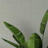 Loma Textile Wallcovering Textile Wallcovering QuietWall   