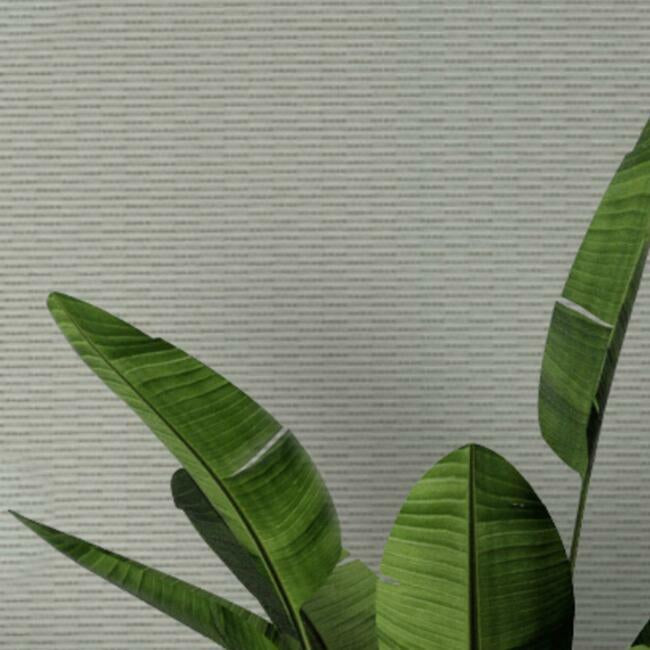 Loma Textile Wallcovering Textile Wallcovering QuietWall   