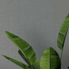 Loma Textile Wallcovering Textile Wallcovering QuietWall   