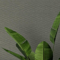 Loma Textile Wallcovering Textile Wallcovering QuietWall   
