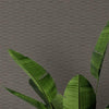 Loma Textile Wallcovering Textile Wallcovering QuietWall   