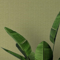 Loma Textile Wallcovering Textile Wallcovering QuietWall   