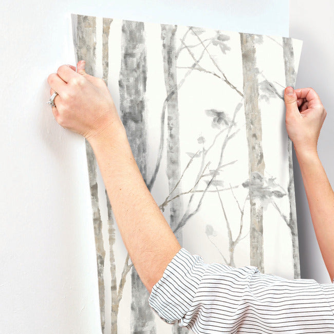 Birch Trees Peel and Stick Wallpaper Peel and Stick Wallpaper RoomMates   