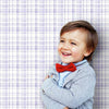 Polka Dot Plaid Wallpaper Wallpaper York   