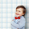 Polka Dot Plaid Wallpaper Wallpaper York   