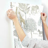 On The Savanna Wallpaper Wallpaper York   