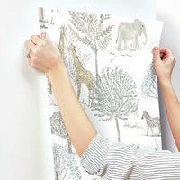 On The Savanna Wallpaper Wallpaper York   