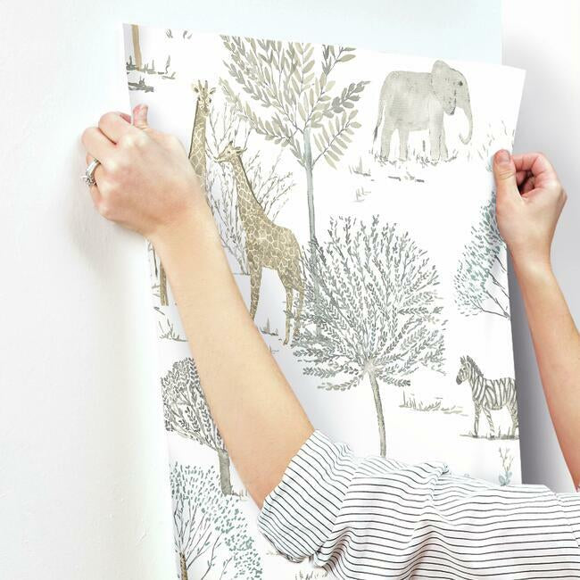 On The Savanna Wallpaper Wallpaper York   