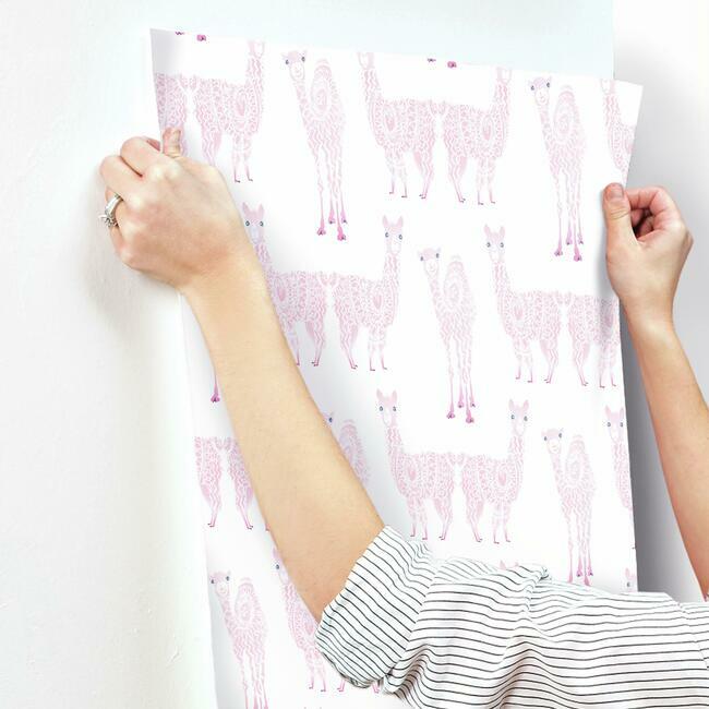 Alpaca Pack Wallpaper Wallpaper York   