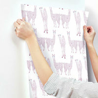 Alpaca Pack Wallpaper Wallpaper York   