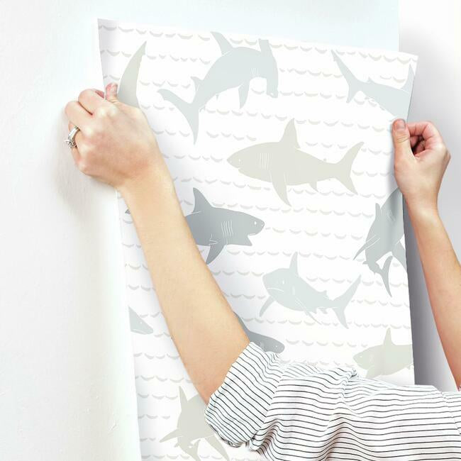 Shark Charades Wallpaper Wallpaper York   