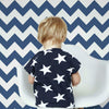 Chevron Sidewall Wallpaper Wallpaper York   
