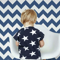 Chevron Sidewall Wallpaper Wallpaper York   