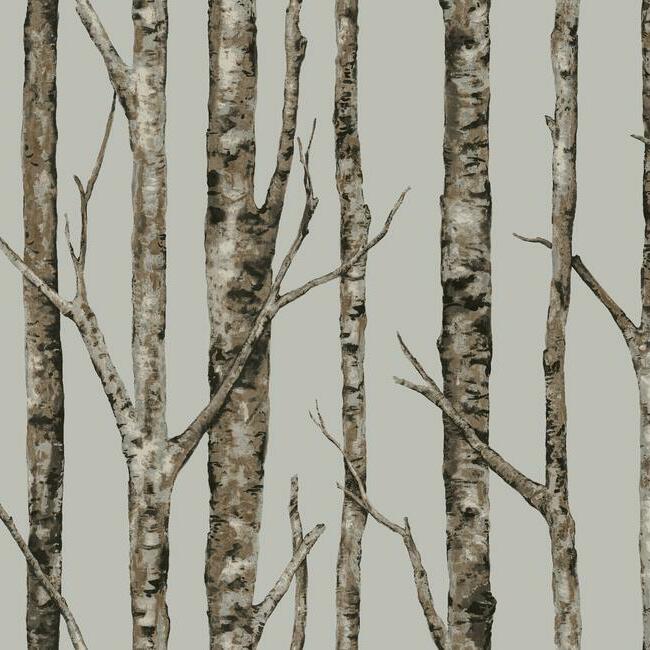 The Birches Unpasted Wallpaper Wallpaper York Double Roll Silver 