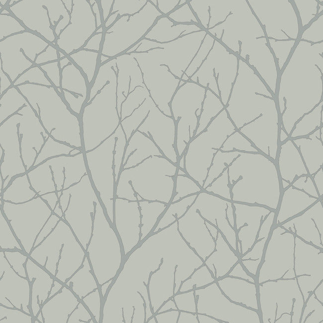 Trees Silhouette Wallpaper Wallpaper Antonina Vella Double Roll Eucalyptus/Silver 