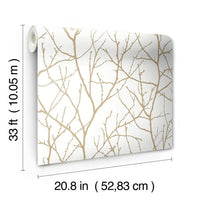 Trees Silhouette Wallpaper Wallpaper Antonina Vella   