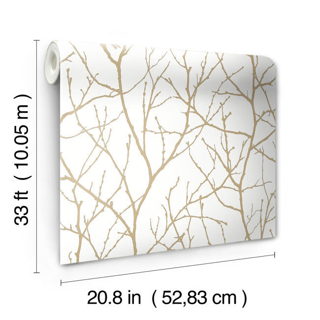 Trees Silhouette Wallpaper Wallpaper Antonina Vella   