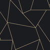 Nazca Wallpaper Wallpaper Antonina Vella Double Roll Black/Gold 