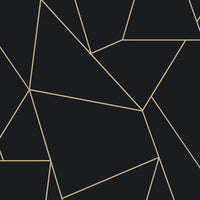Nazca Wallpaper Wallpaper Antonina Vella Double Roll Black/Gold 