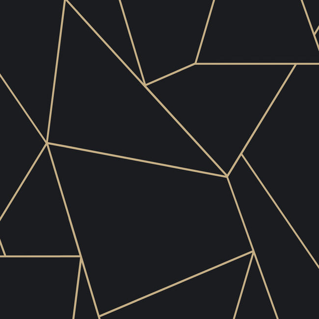 Nazca Wallpaper Wallpaper Antonina Vella Double Roll Black/Gold 