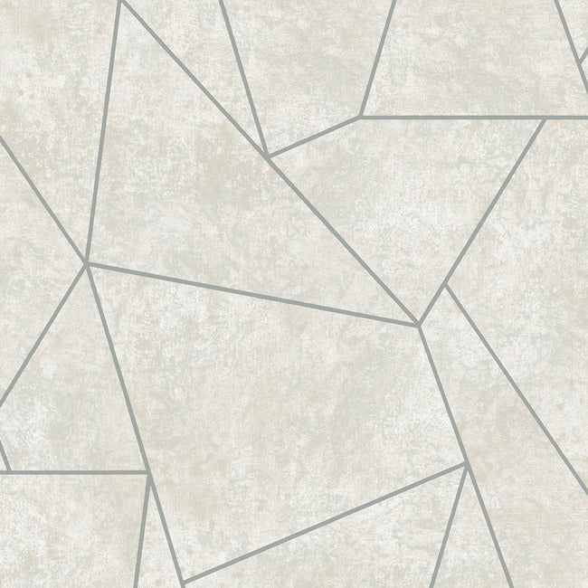 Nazca Wallpaper Wallpaper Antonina Vella Double Roll Neutral/Silver 