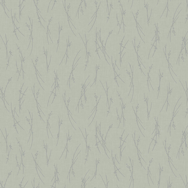 Sprigs Wallpaper Wallpaper Antonina Vella Double Roll Eucalyptus/Silver 