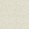 Shimmering Patina Wallpaper Wallpaper Antonina Vella Double Roll Neutral/Gold 