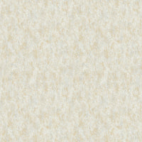 Shimmering Patina Wallpaper Wallpaper Antonina Vella Double Roll Neutral/Gold 